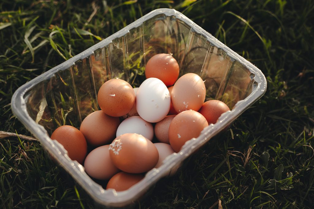 How to pack eggs for camping: 8 professional recommendations