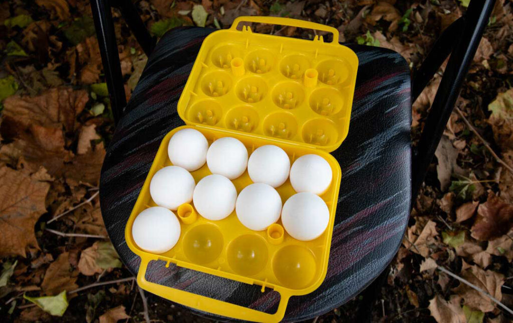 How to pack eggs for camping: camping egg holder