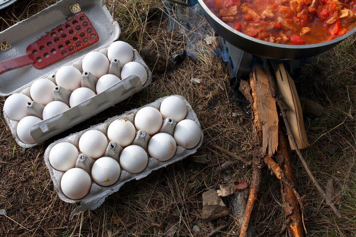 How to pack eggs for camping: 8 professional recommendations