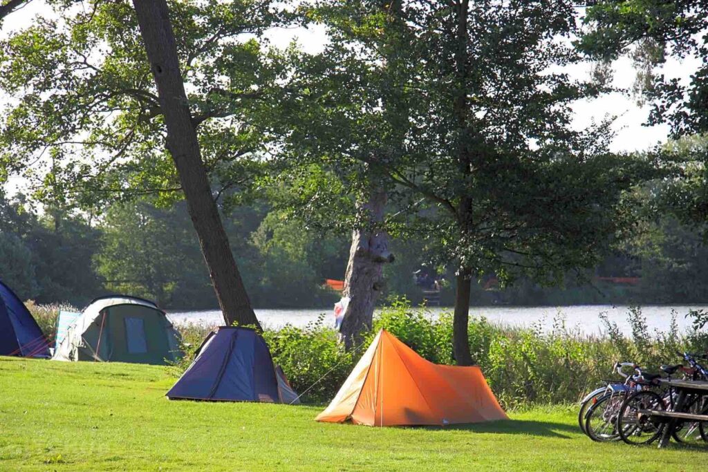Flexibility and adaptation of first-serve campsites